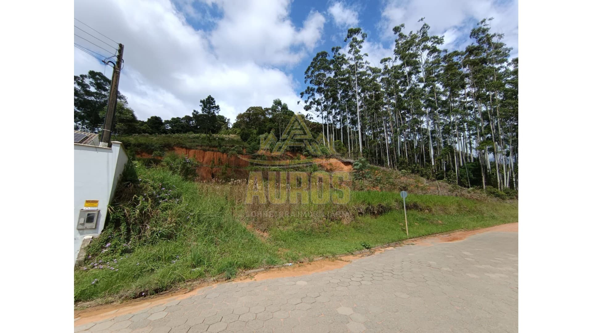 Terreno com 5.900,00 m² no Bairro Vila Nova em Ascurra - Imagem 3
